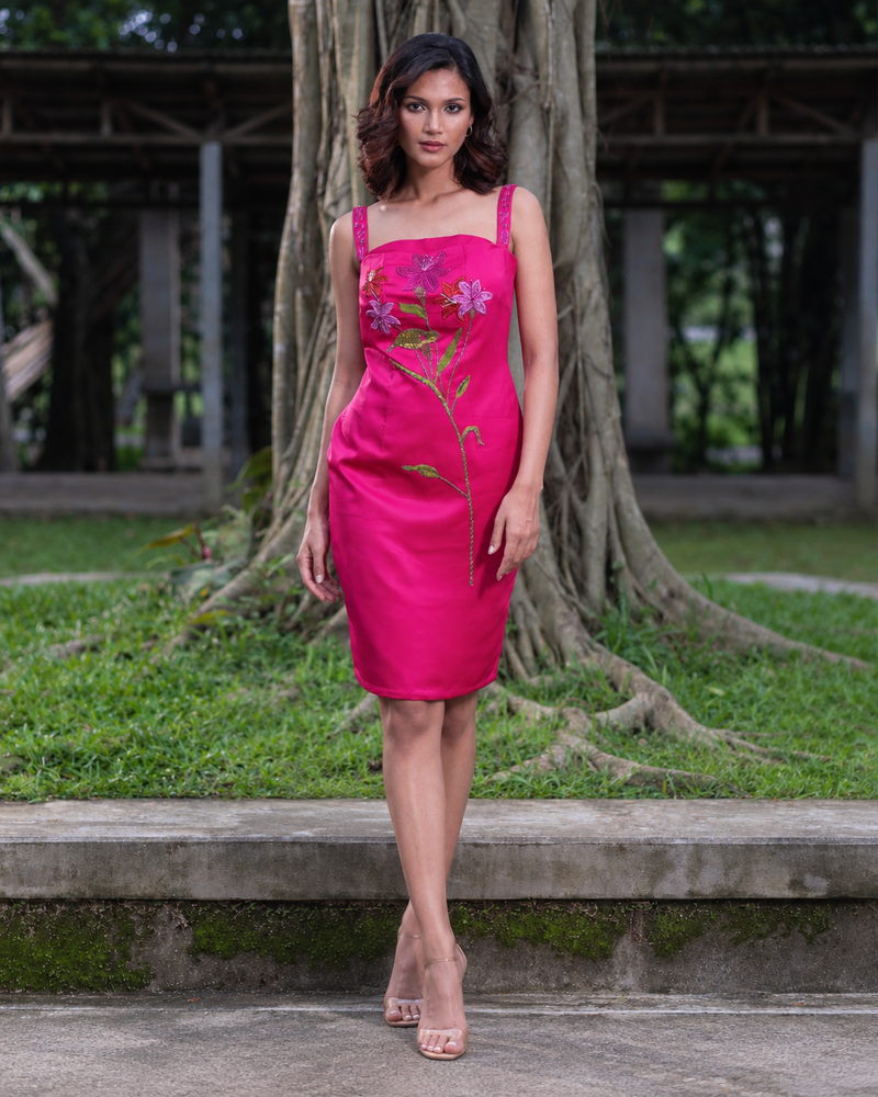 Gulabi Hand Embroidered Dress